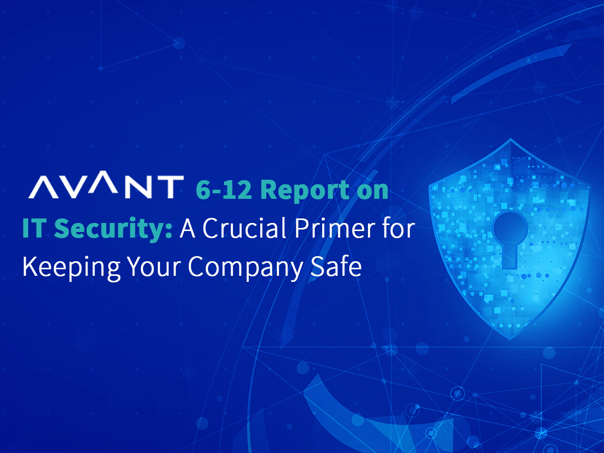 AVANT 6-12 Report on IT Security: A Crucial Primer for Keeping Your Company Safe